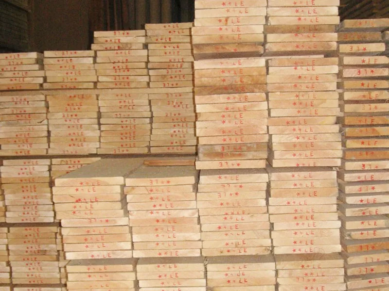 Çam